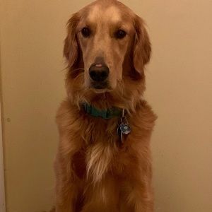 Meet your Posher, Kakatie